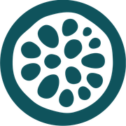 Disciple logo — AppBuild vs Skool app builder comparison