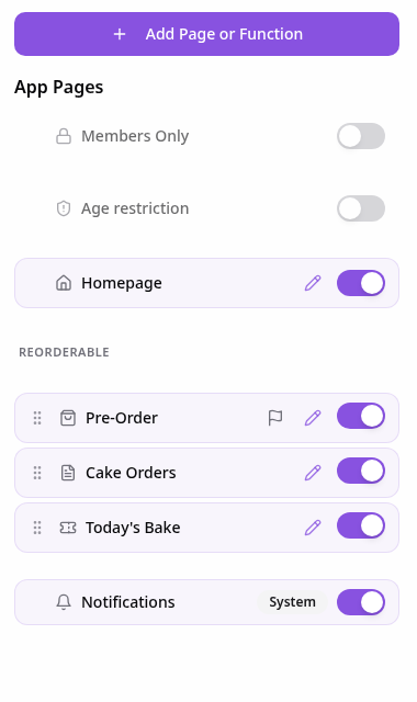 Pages panel with the Add Page or Function button
